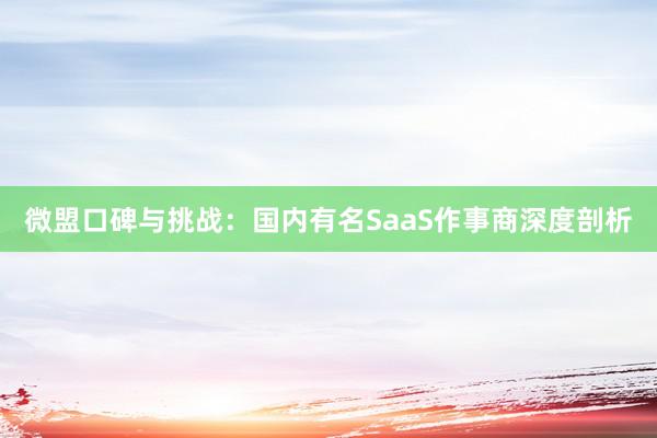 微盟口碑与挑战：国内有名SaaS作事商深度剖析